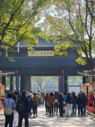 1764307211929238YEKr.png image.png